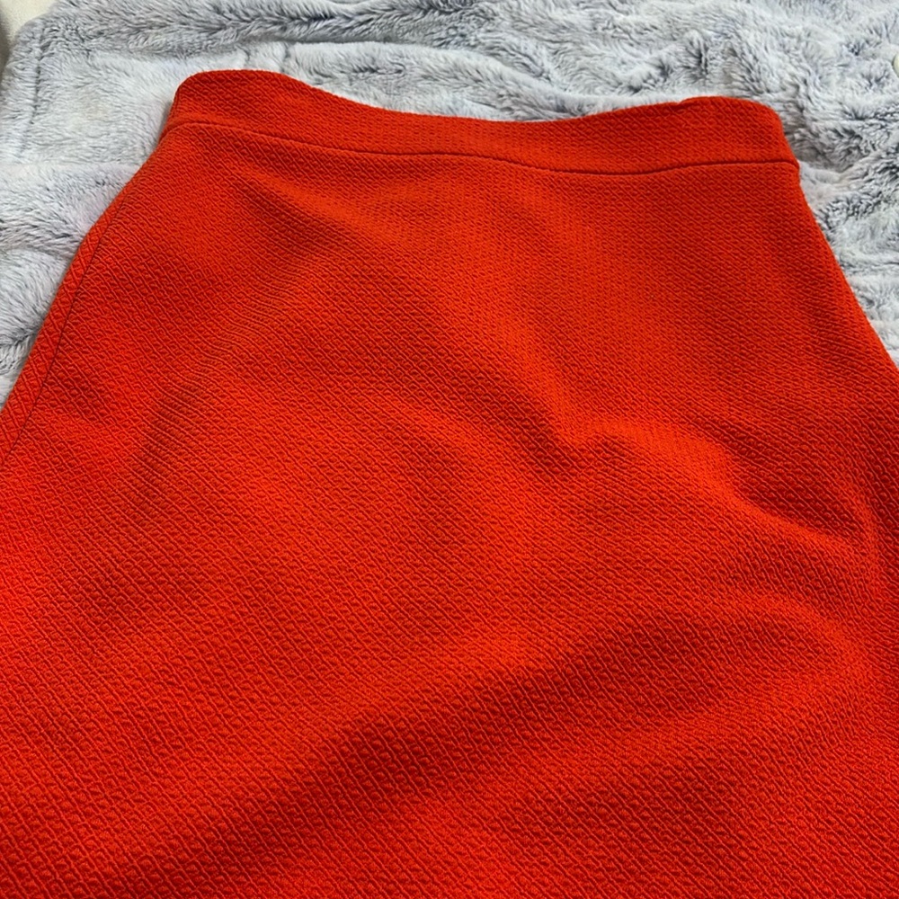 Ann Taylor Knit Skirt